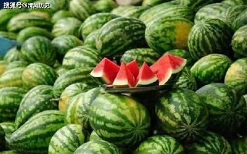 吃瓜网官网,带你领略网络娱乐资讯的盛宴